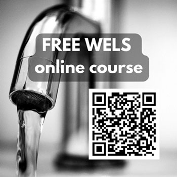 Free WELS online course